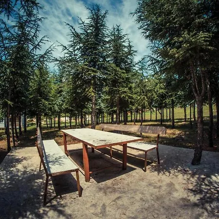 With View * Sweti Wlas